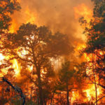 Understanding Causes Of Forest And Land Fires