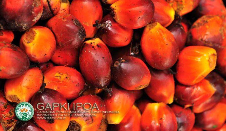 Prospek Industri Sawit 2018 Semakin Berkilau?