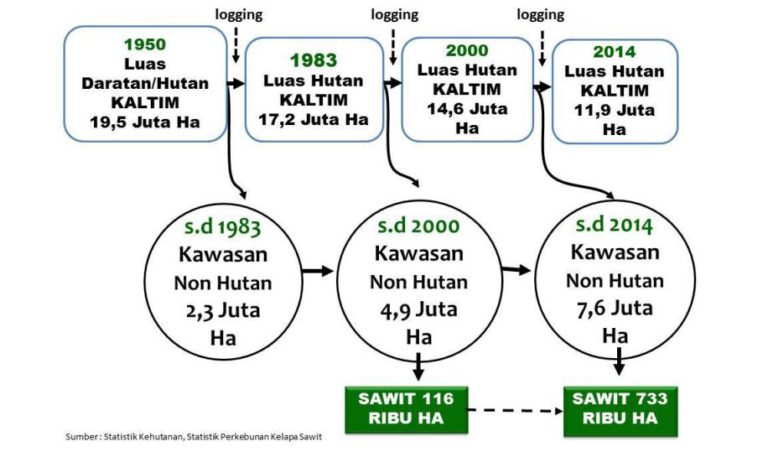 Proses Reforestasi dan Perbaikan Ekologi Melalui Perkebunan Sawit di Provinsi Kalimantan Timur