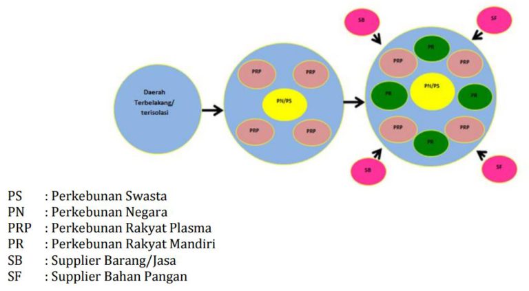 Resolusi Sawit Oleh Parlemen Eropa Dalam Perspektif Perang Minyak Nabati Global