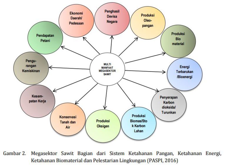 Megasektor Sawit dan Kebutuhan Pengelolaan Baru
