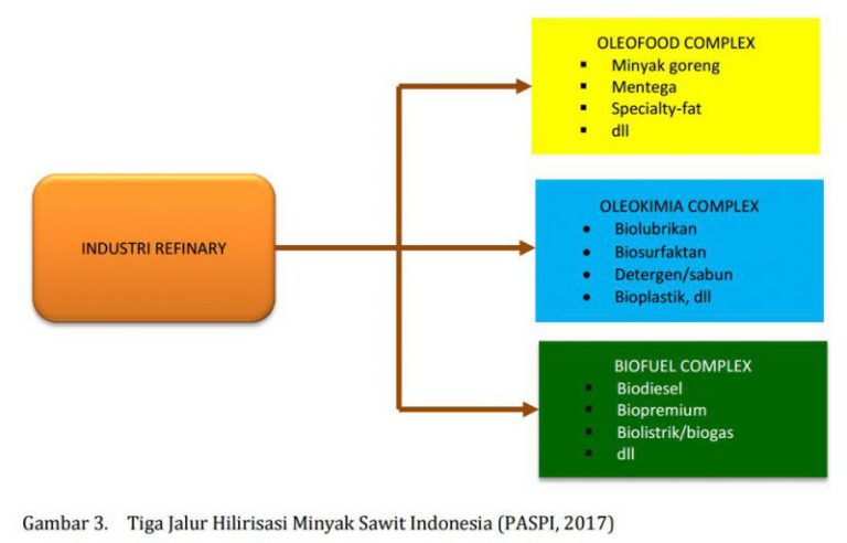 Sawit dan Kebijakan Industrialisasi Sawit Menuju 2050
