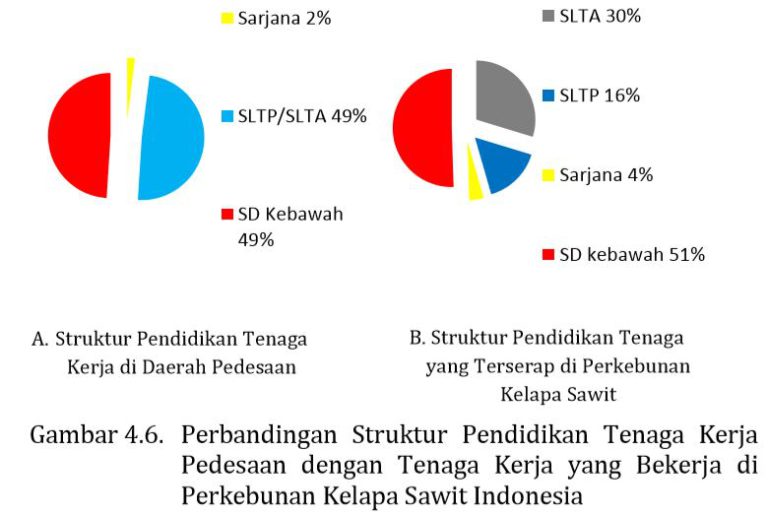 MITOS 4-05 – Tenaga kerja yang diperlukan/terserap perkebunan kelapa sawit tidak sesuai dengan kondisi tenaga kerja di daerah/pedesaan