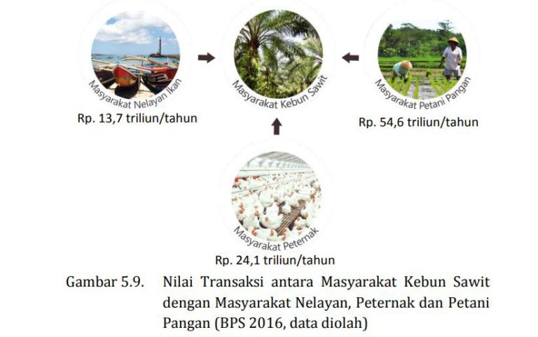 MITOS 5-07 : Kebun sawit tidak berkontribusi pada pengurangan kemiskinan di kawasan pedesaan