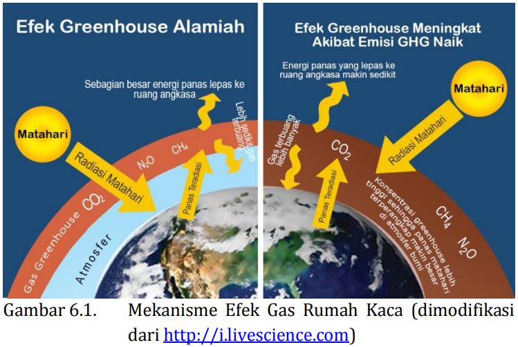 MITOS 6-01 : Global Warming disebabkan oleh Pembangunan Kebun Sawit