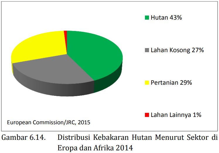 MITOS 6-16 : Kebakaran hutan di Indonesia lebih luas dari negara-negara lain