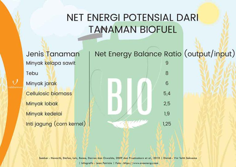 Sawit Memiliki Rasio Net Energy Balance Potensial Paling Tinggi