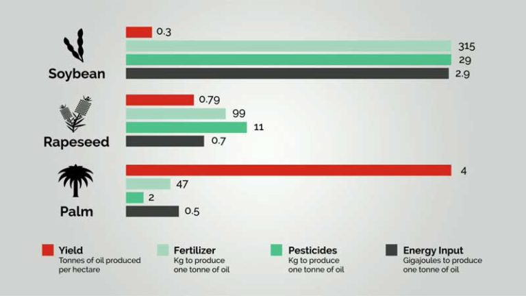 VIDEO : Palm Oil Economics – The Story of How Palm Oil Benefits the World