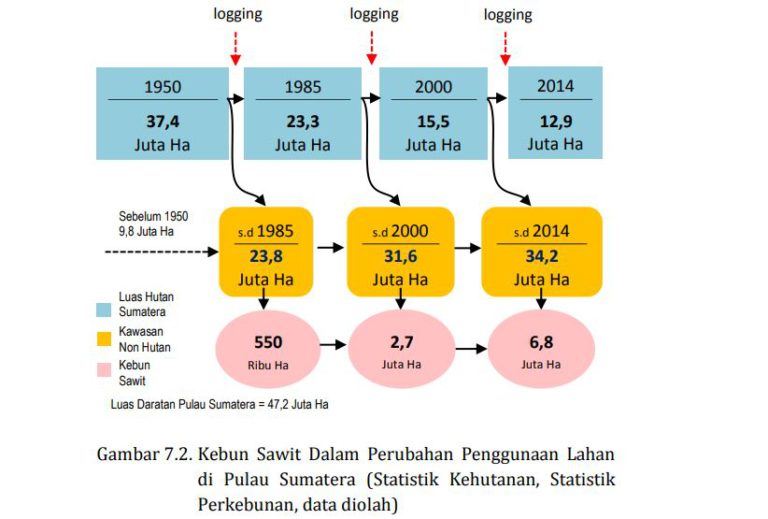 MITOS 7-04 : Kebun Sawit Pemicu Utama Konversi Hutan Menjadi Non Hutan Kalimantan