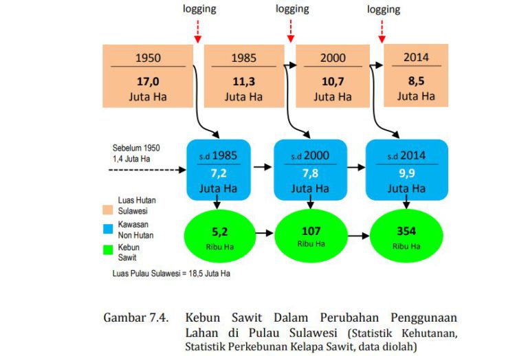 MITOS 7-05 : Kebun Sawit Pemicu Utama Konversi Hutan Menjadi Non Hutan Sulawesi