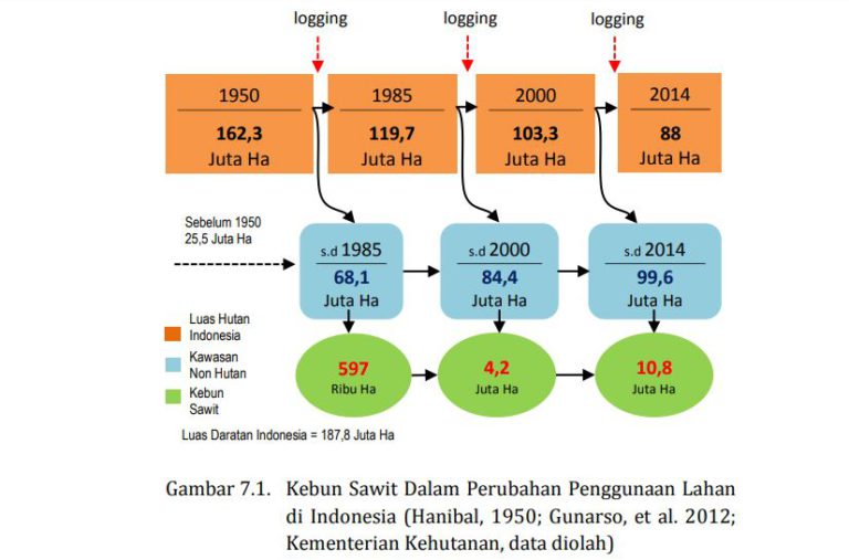 MITOS 7-01 : Kebun Sawit Pemicu Utama Konversi Hutan Menjadi Non Hutan