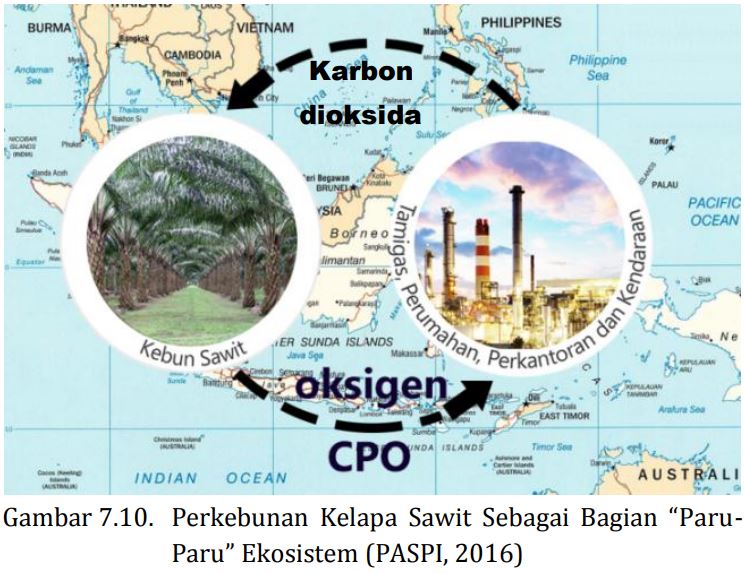 MITOS 7-10 : Kebun Sawit Bukan Penyerap Karbon Dioksida Seperti Hutan