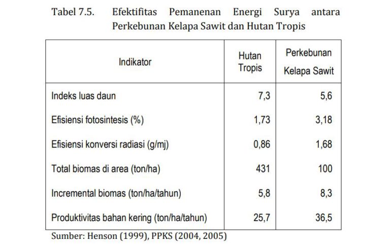 MITOS 7-11 : Pemanen Energi Surya, Hutan Lebih Baik Dari Kelapa Sawit