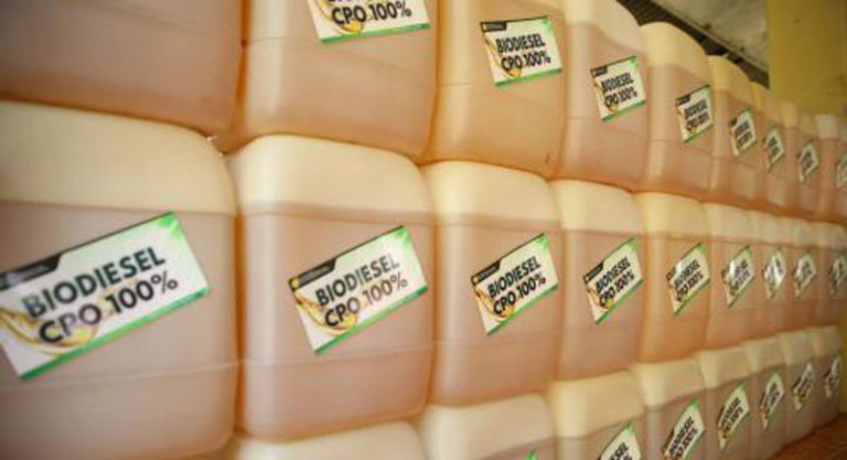 Naik Deras Pada 2023! Konsumsi Biodiesel Sawit Lampaui Pangan