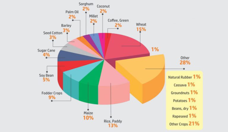 Contribution of Crops to The Total Water Foot Print : What About Palm Oil?