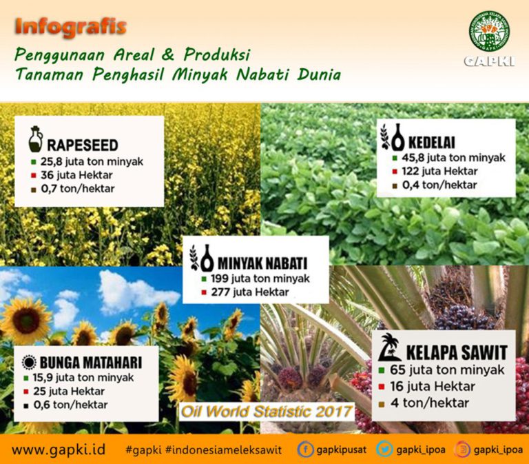 Infografis : Minyak Nabati Manakah Yang Paling Efisien & Hemat Lahan?