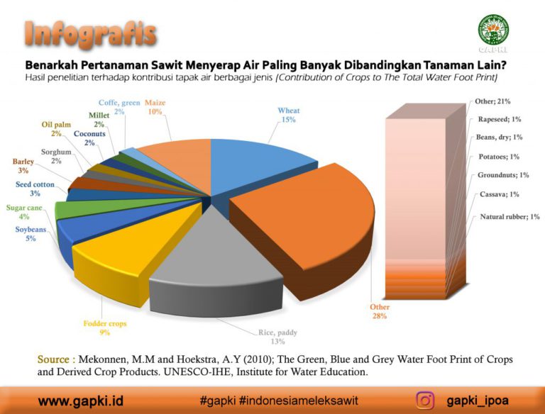 Infografis : Benarkah Tanaman Sawit Menyerap Air Paling Banyak Dibandingkan Tanaman Lain?
