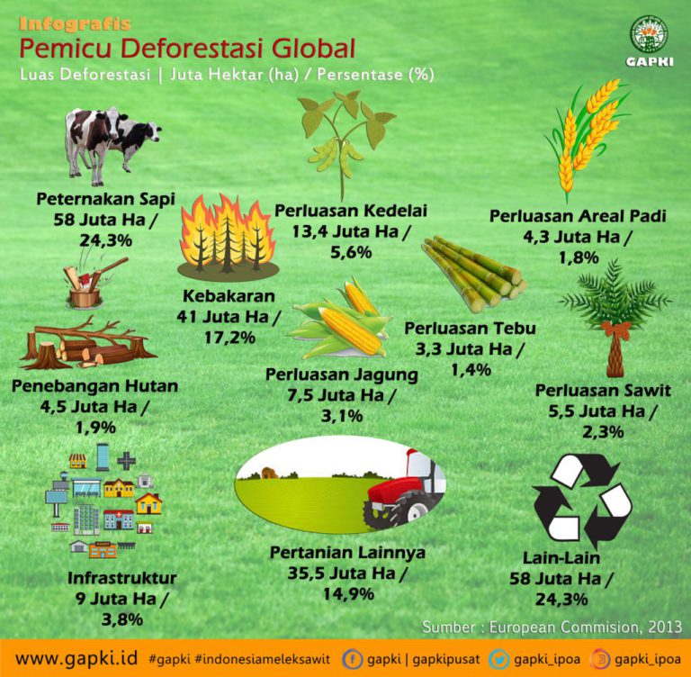 Infografis : Pemicu Deforestasi Global, Sawit Bukanlah Pemicu Utama!