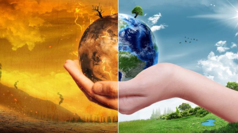 Serap Banyak CO2! Sawit Jadi Opsi Penting Atasi Pemanasan Global