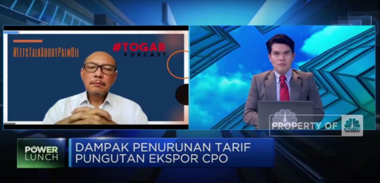 RI Kalah Ekspor CPO Ke India Dari Malaysia, Jangan iri! Ini Sebabnya..