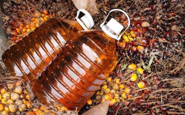 Minyak Sawit Diragukan Mengandung Senyawa Bioaktif? Ketahui Fakta Sesungguhnya di Sini!