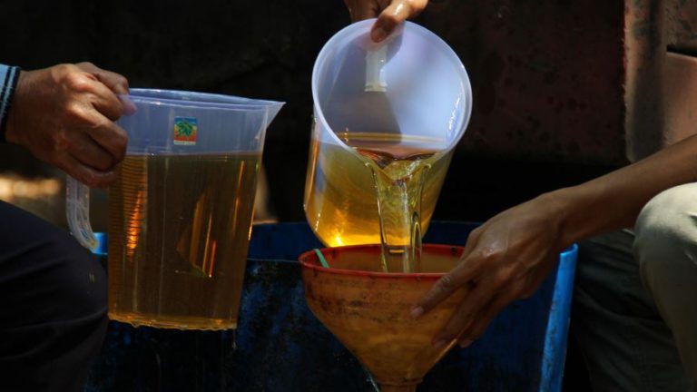 Apa Benar Sawit Itu Minyak Yang Mahal? Karenanya Tidak Layak Untuk Pangan Atau Energi