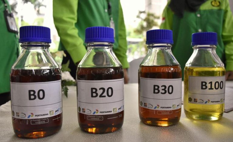 Biodiesel Sawit Tak Efektif? Dampaknya Terhadap Devisa dan Neraca Migas Indonesia Ternyata Mengejutkan!