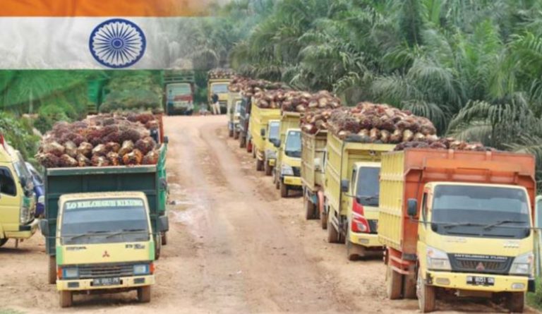 Lagi Haus Sawit! India Ambil Sawit Rp46,8 T