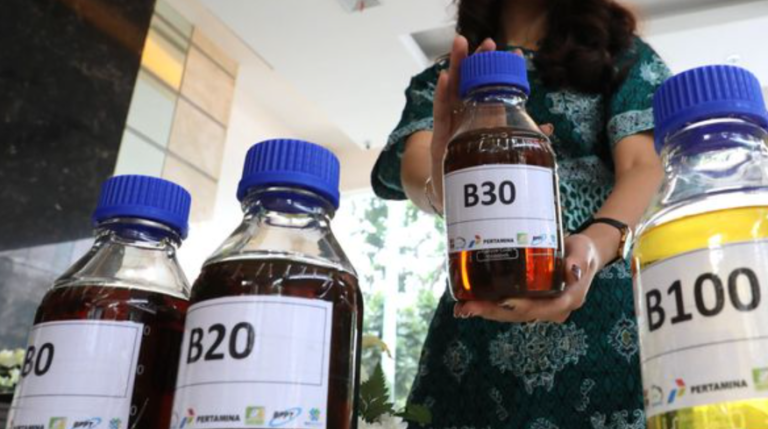 Peran Penting Biodiesel Jaga Keberlanjutan Industri Sawit