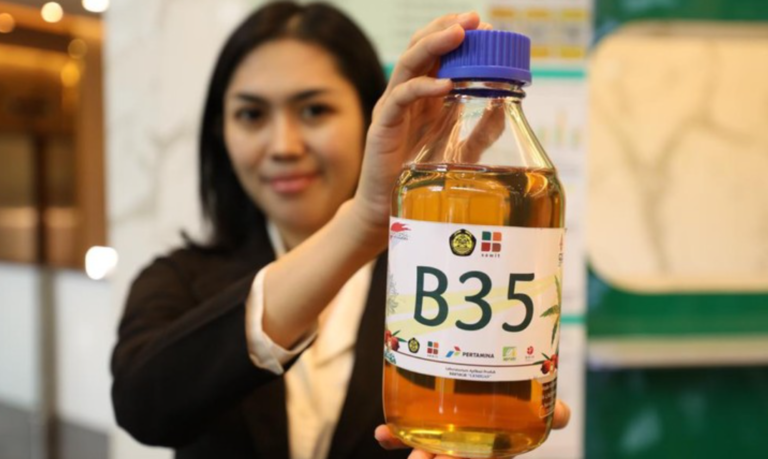 Gara-gara B35, Harga Sawit Naik Lagi!