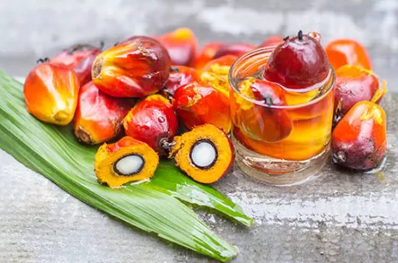 Terungkap! Benarkah Kandungan Vitamin A Minyak Sawit Jauh Lebih Rendah Dibanding Sumber Lain?