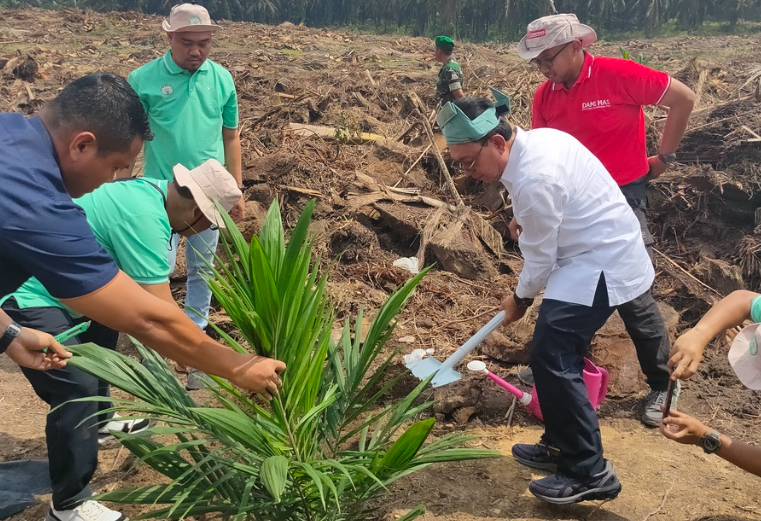 Perkembangan PSR 2023 Menunjukkan Tren Peningkatan Yang Membahagiakan
