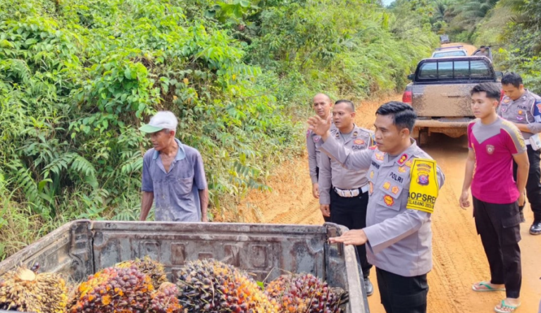 Patroli Skala Besar Penjarahan TBS Sawit, Polisi Langsung Turun Lapangan