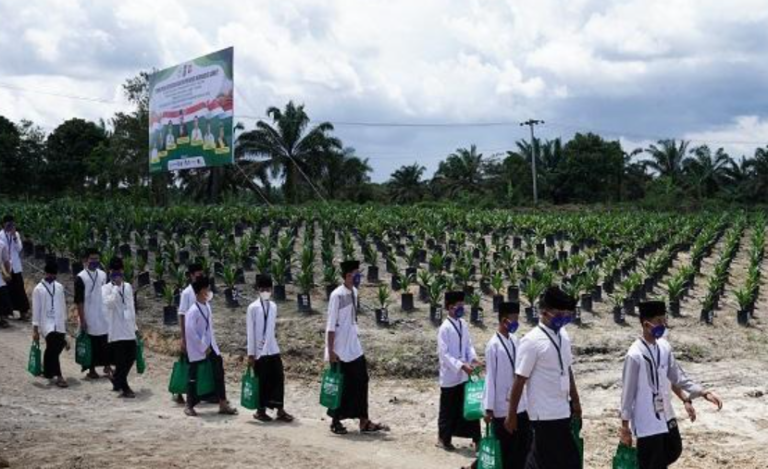 Santri Tani NU Kecam Label ‘Palm Oil Free’