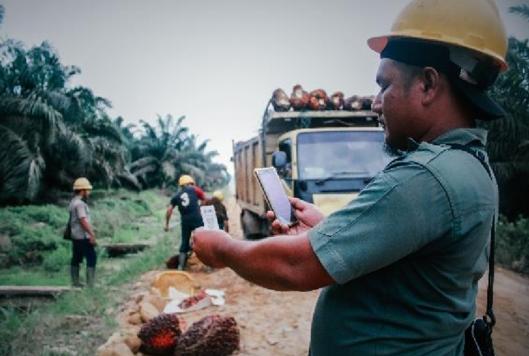 Canggih! Operasional Perkebunan Sawit Di Digitalisasi