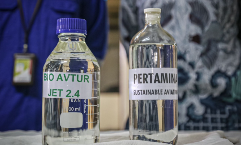 Tak Takut Sawit Dijegal Eropa! Indonesia Punya Bioavtur