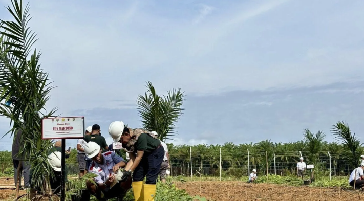 GAPKI Tanam PSR & Tumpang Sari Padi Gogo Di Kotabaru