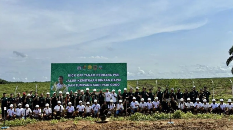 Mentan: Butuh Strategi Jitu Tingkatkan Produksi Sawit Hadapi El Nino