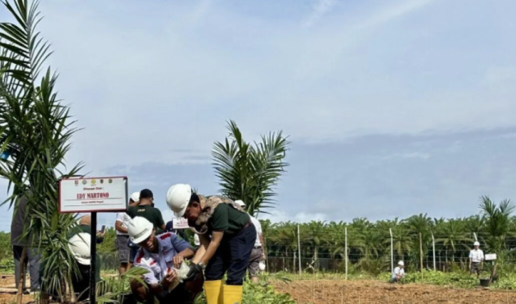 Program Ketahanan Pangan! GAPKI Dukung Tumpang Sari Sawit Padi..