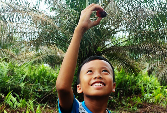 Terbongkar! Fakta di Balik Dugaan Pekerja Anak di Perkebunan Kelapa Sawit