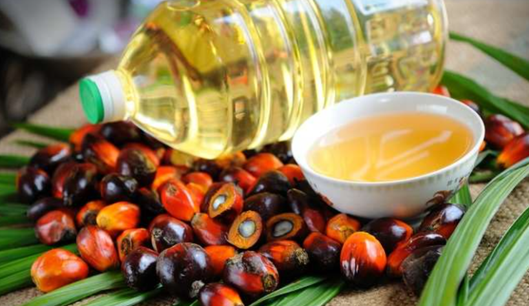 Kandungan Gizi Minyak Sawit Merah Dipertanyakan, Benarkah Tidak Sehat? Simak Penjelasannya..