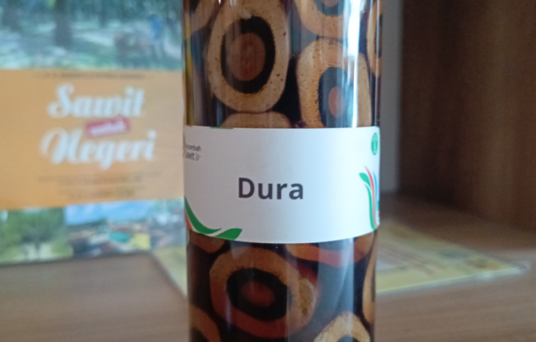 Mengenal Varietas Kelapa Sawit DURA