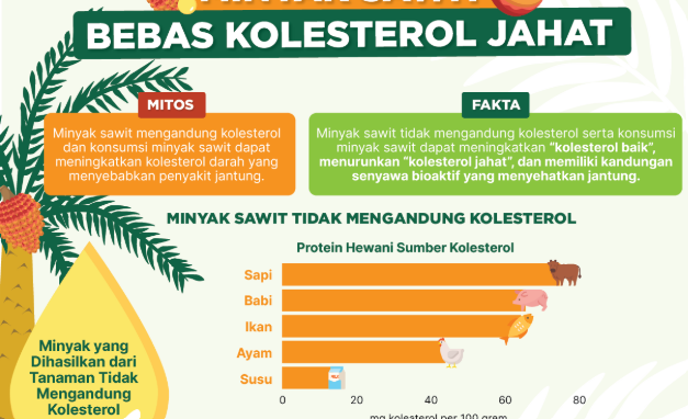 BEBAS KOLESTEROL JAHAT! Dikira Jahat, Ternyata Minyak Sawit Punya Manfaat Rahasia untuk Jantung..