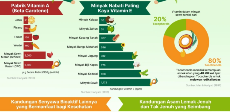 Minyak Sawit: Superfood Kaya Nutrisi, Vitamin, dan Antioksidan untuk Kesehatan Optimal