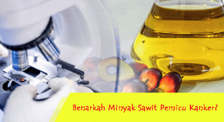 Why Palm Oil Attributed To Cancer Disease?