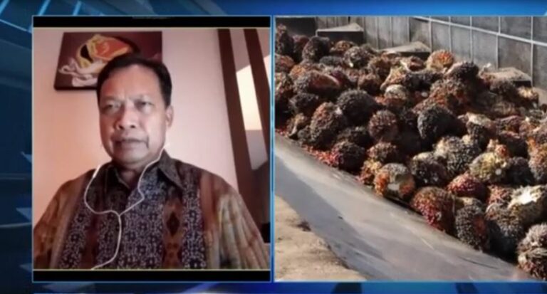 GAPKI Hopes Local Demand To Raise Palm Oil Price During Covid-19
