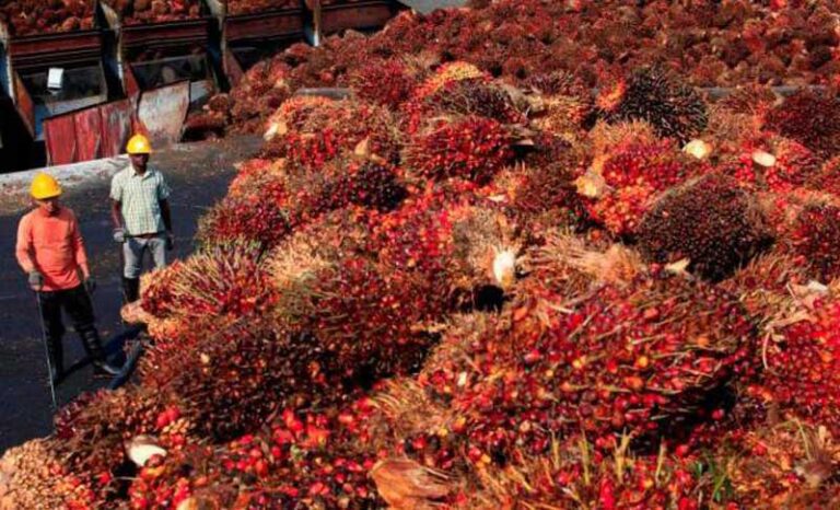 Traditional Market Starts Recovering, Raising Hope