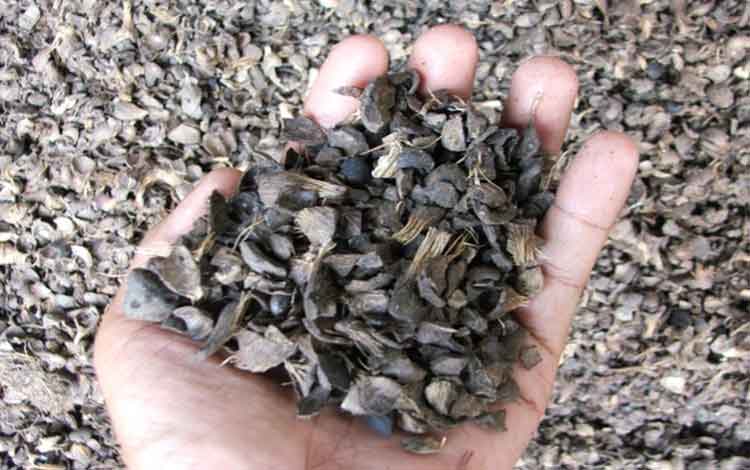 RI Boosts Export Of Palm Kernel Shells To Japan
