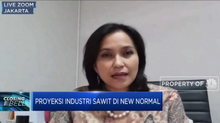 CPO Export Market Still Promising