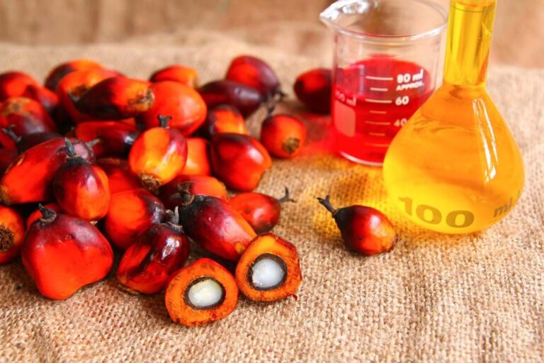 EU Blocks RI’s Oleochemical, Producers Files Dispute To WTO